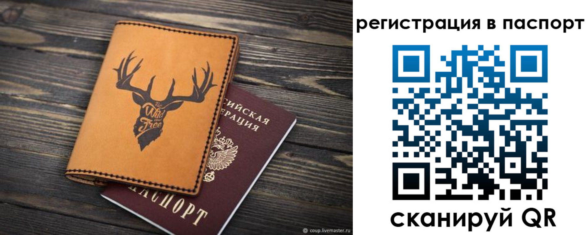 прописка паспорт в Отрадном